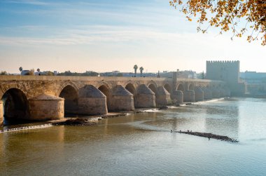 Roma Köprüsü manzarası, Cordoba, Endülüs 'teki Guadalquivir nehri boyunca uzanan taş bir köprü, sisli bir kış sabahı,.