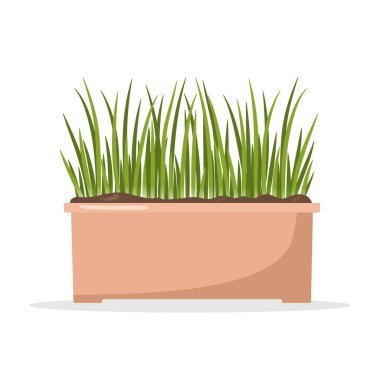 Saksıda soğan tohumu. Bahçe bitkileri yetiştiriyorlar. Vejetaryen ve ekolojik ürünler. Çizgi film tarzında vektör illüstrasyonu