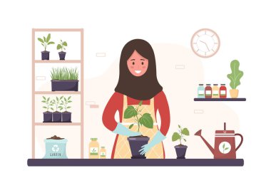 Evde ekiyorum. Çizgi filmdeki İslami kadın, portakal filizini yeniden ekiyor. Bahçıvanlık hobisi. Düz bir şekilde vektör illüstrasyonu. Yerli bitkiler çocuk yuvası ve bakım konsepti