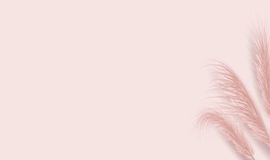 Pembe arka planda kurutulmuş doğal otlar. Boho tarzında çiçek süsleri. Cortaderia Selloana 'nın vektör çizimi. Yeni moda ev dekorasyonu. Düz konum, boşluk kopyala, üst görünüm