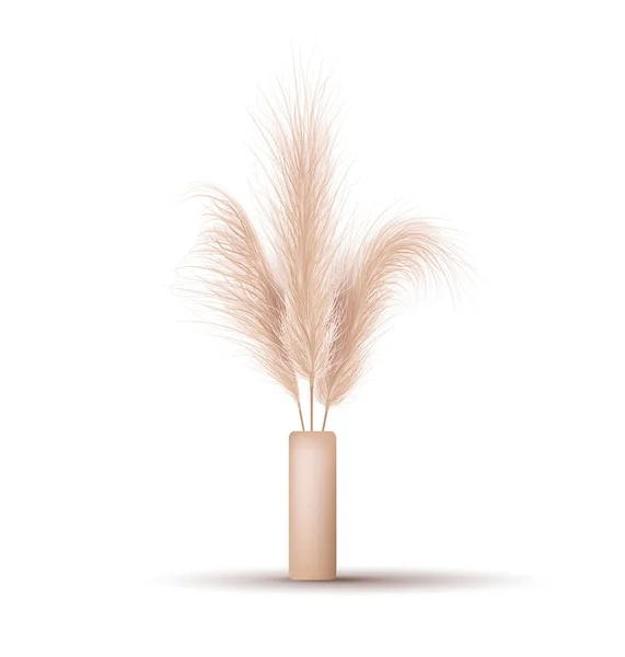 Pampas grass in vase. Dried floral ornament elements in boho style. Vector illustration isolated on white background. New trendy home decor. Stylish minimal design concept — Stock Vector