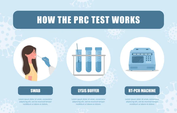PCR 테스트가 작동하는 방식. Naal swab 연구소의 생체 물질 분석. Covid-19 Coronavirus testing infographic. 여성은 건강 검진을 받고 있습니다. 평면 만화에 나오는 벡터 삽화 — 스톡 벡터