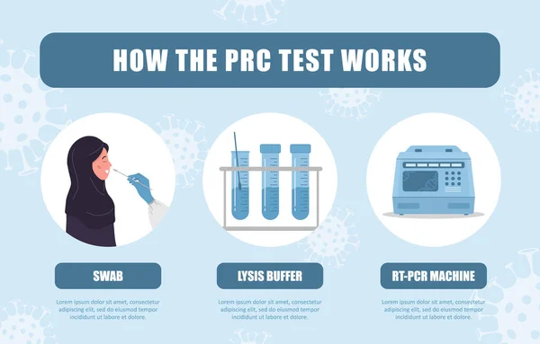 PCR 테스트가 작동하는 방식. Naal swab 연구소의 생체 물질 분석. Covid-19 Coronavirus testing infographic. 이슬람 여성은 건강 검진을 받고 있습니다. 평면 만화에 나오는 벡터 삽화 — 스톡 벡터
