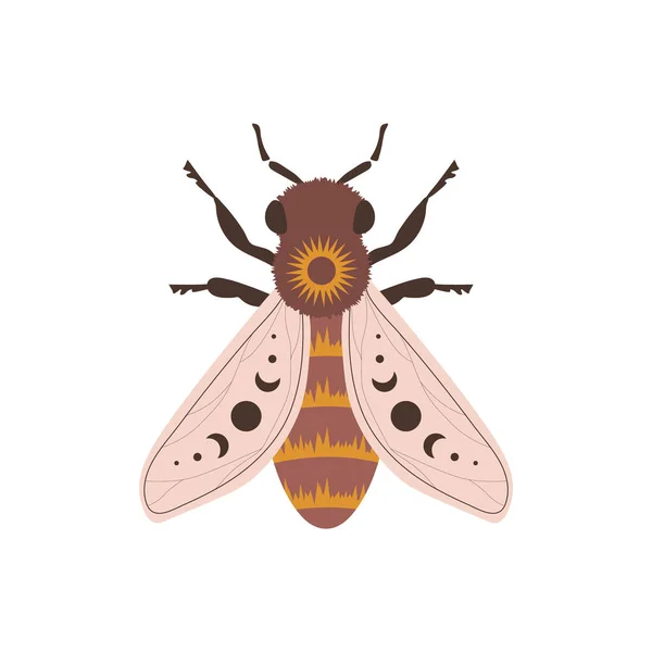 Boho abeille domestique. Insecte avec des éléments célestes. Sorcière et symbole magique. Illustration vectorielle dessinée à la main abstraite dans un style bohème — Image vectorielle