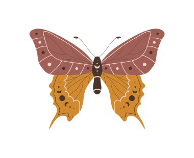 Boho kelebeği. Göksel elementlere sahip bir böcek. Cadı ve sihirli sembol. Soyut el çizimi güve. Bohem tarzında vektör illüstrasyonu