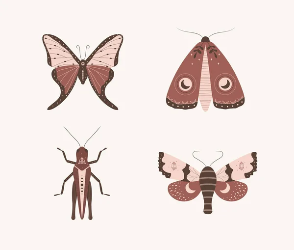 Insectes de style bohème. Abstrait papillon de nuit dessiné à la main, papillon et sauterelle avec lune et étoiles. Ensemble de symboles ésotériques d'alchimie. Illustration vectorielle vintage — Image vectorielle