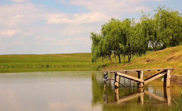 Mooi landschap met een uitzicht van wilgen in een kleine vijver. — Stockfoto