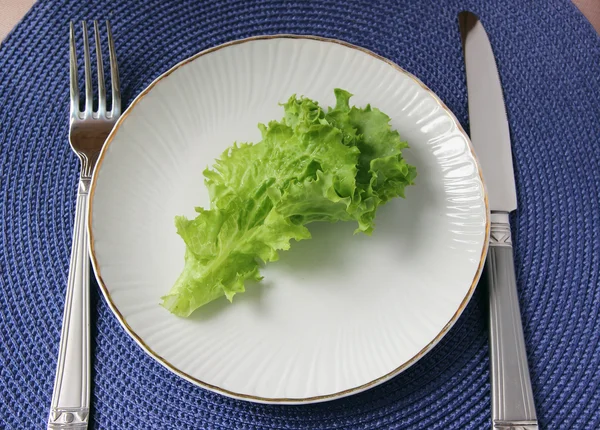 Leaf lettuce, lying on a white plate. — Stock Photo, Image