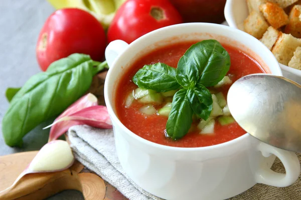 Un plato de gazpacho con croutons . —  Fotos de Stock