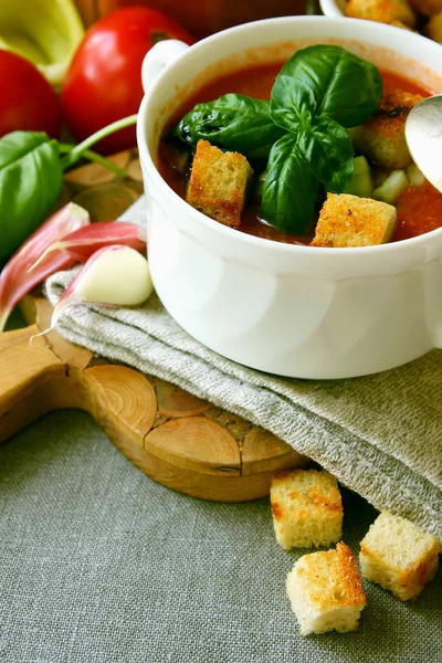 Un plato de gazpacho con croutons . —  Fotos de Stock