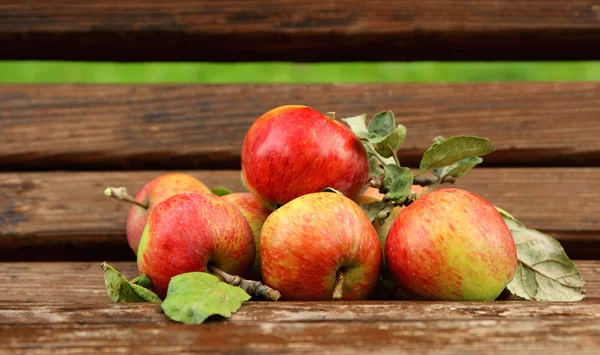 Manzanas maduras recogidas del jardín . —  Fotos de Stock