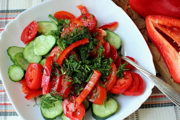 Plate with salad from vegetables — Stock Photo, Image