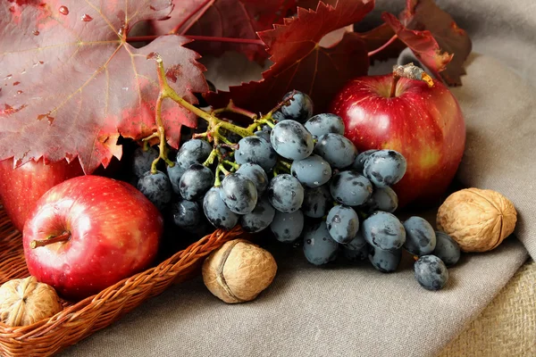 Ramo de uvas, manzanas y frutos secos —  Fotos de Stock