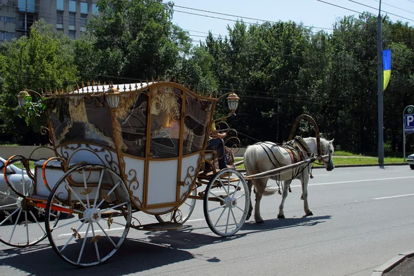 Carruaje tirado por caballos en la ciudad —  Fotos de Stock