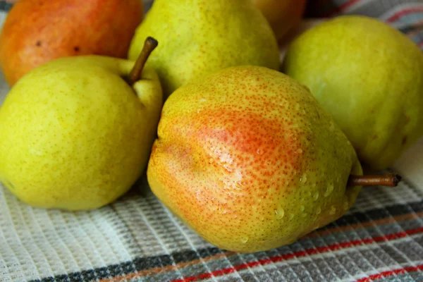 Rijp herfst peren met rode vaten — Stockfoto