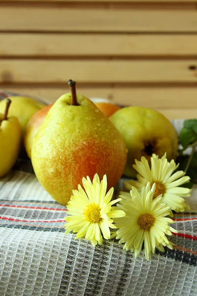 Pere mature e crisantemo autunnale — Foto Stock