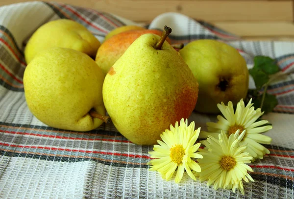 Ripe pears and autumn chrysanthemum — Stock Photo, Image