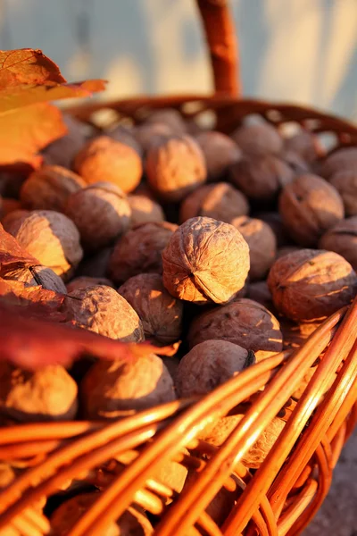 Basket of walnuts — Stock Photo, Image