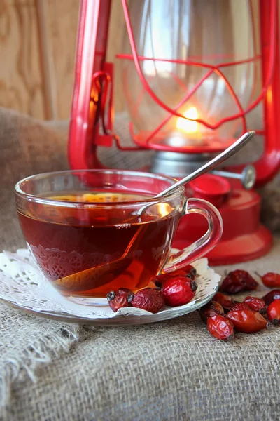 Tazza di tè dai fianchi, rosa canina secca e lanterna — Foto Stock