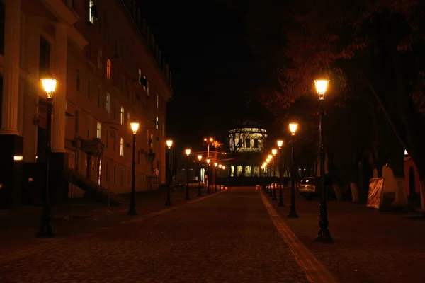 Pedestrian street in the night city