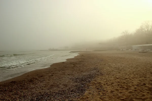 Seashore en mist vestigt zich op de grond — Stockfoto