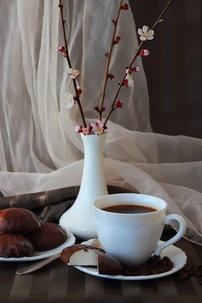 En kopp kaffe, en gren av aprikos och marshmallows — Stockfoto