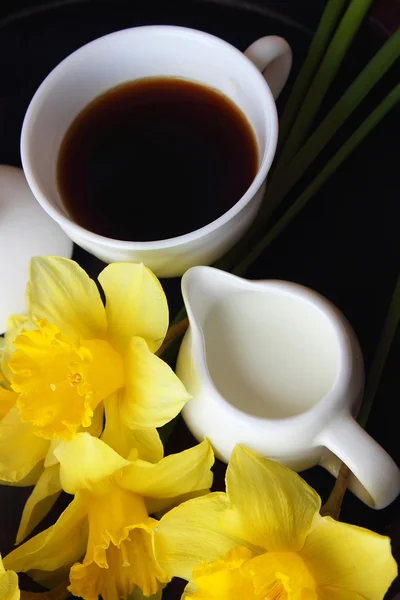 Tasse Kaffee, Milch und Narzissen — Stockfoto