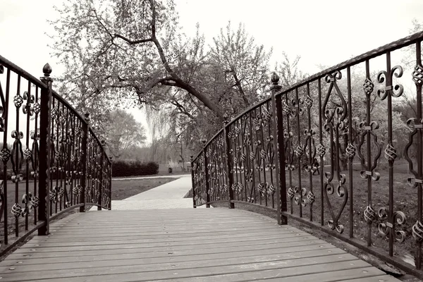 Most z kutego żelaza balustrady — Zdjęcie stockowe