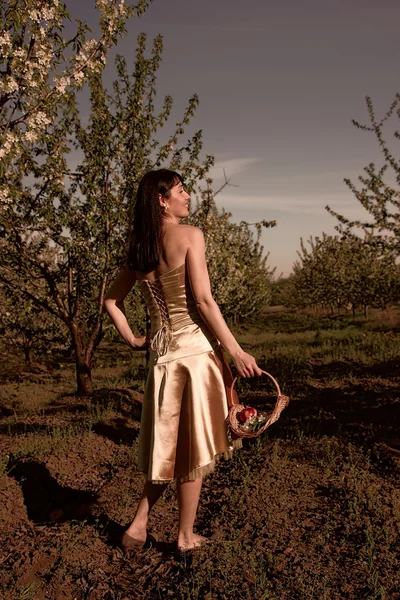 Hermosa chica con una cesta en las manos sobre el fondo de un jardín floreciente —  Fotos de Stock