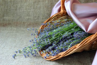 Sepet içinde yırtık lavanta
