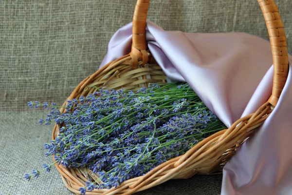 Revitty laventeli korissa — kuvapankkivalokuva