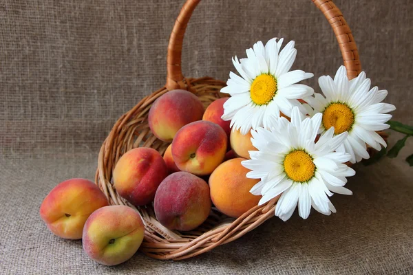 Basket with ripe peaches and bunch of daisies — Stockfoto