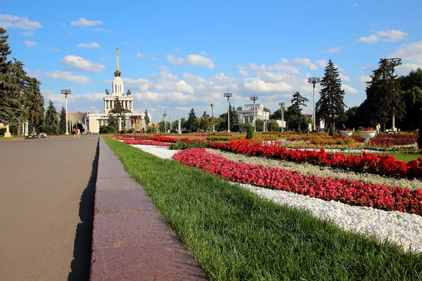 Вид на аллею с клумбой в выставочном комплексе . — стоковое фото