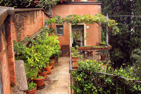 View of a cozy courtyard with lush vegetation