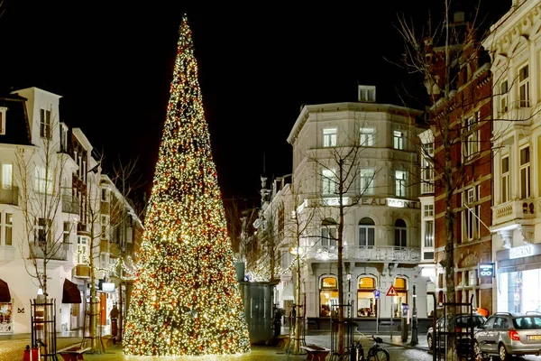 Maastricht Pays Bas Décembre 2019 Arbre Noël Décoré Lumières Sur — Photo