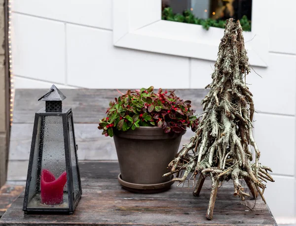 Pohon Natal buah merah dalam pot, alternatif kreatif Pohon Natal yang terbuat dari cabang pohon dan lampu lilin jalan di meja kayu luar. Dekorasi liburan retro di toko bunga Eropa — Stok Foto