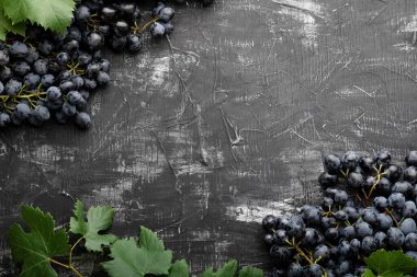 Eskimiş koyu beton arka planda siyah sulu üzümler. Üzümlerden yapılmış çerçeve. Siyah aşınmış arkaplanda metin veya menü için boşluk kopyala.