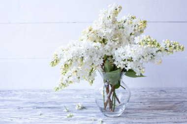 Ahşap masadaki cam vazoda beyaz leylak buketi. Çiçeklerin açan bahar dalları. Fotokopi alanı olan şenlikli çiçekler..