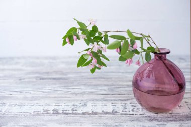 Çiçeklerin açtığı cam pembe vazodaki bahar dalları ahşap beyaz arka planda fotokopi alanı ile birlikte. Zarif ev çiçeği dekoru, dal buketi.