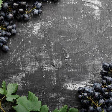 Eskimiş koyu beton arka planda siyah sulu üzümler. Üzümlerden yapılmış çerçeve. Siyah aşınmış arkaplanda metin ya da menü için boşluk kopyala. Kare mahsul