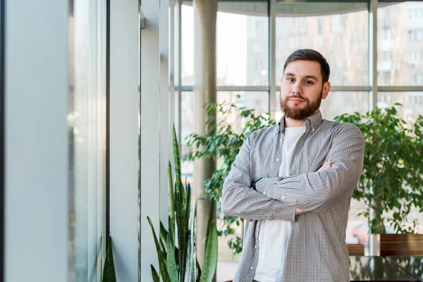 Modern ofiste, bitki, bahçe ve serayla birlikte tam boy pencerenin yanında duran beyaz bir adam. Başarılı sakallı genç adam kollarını kavuşturdu. Yakışıklı iş adamı. Sıradan gömlekli zeki adam.