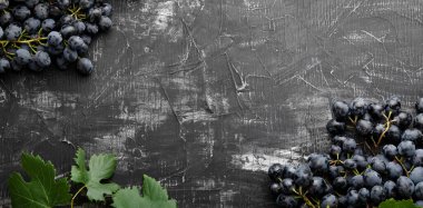 Eskimiş koyu beton arka planda siyah sulu üzümler. Üzümlerden yapılmış çerçeve. Siyah aşınmış arkaplanda metin ya da menü için boşluk kopyala. Meyve Çerçevesi Kenarlık Uzun Web Afişi