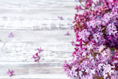 Mor leylak bahar dalları çiçek açan çiçek buketleri ve fotokopi alanı. Masada mor leylak dalı, gri ahşap arka planda çiçeklerle hayat..