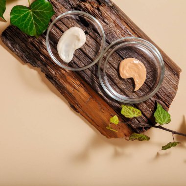 Temel Swatch, ağaç tahtasında bitkilerle birlikte petri kabında nemlendirici krem numunesi. Cilt bakımı bej arka planda ürünler oluşturur. Doğal kozmetik laboratuvarı araştırması