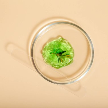 Aloe kozmetik için doğal kozmetik ürünleri. Laboratuvar vitrininde yeşil jel tıbbi bitkiler var. Bej arka planda petri kabında kozmetik cilt ürünleri. Üst görünüm alanı.