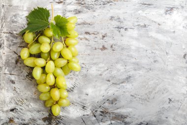 Olgun yeşil Riesling üzümlü grone. Açık gri arkaplanda asma yapraklı olgun sulu üzümler ve fotokopi alanı üst görünümü.