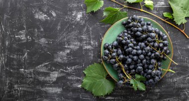 Tatlı, sulu, siyah üzümler koyu beton arka plandaki yiyeceklerin fotokopi alanı ile düzleştirilmiş hali. Siyah üzümler yeşil bir plaka içinde koyu masa manzaralı asma bitkisi. Uzun web pankartı
