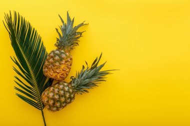 Sarı renkli yaz arka planında ananas ve palmiye yaprakları. Tropikal yaz ananaslarının düz kompozisyonu fotokopi alanı ile yatar