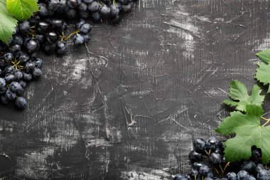 Siyah üzümlerden yapılmış çerçeve. Siyah aşınmış arkaplanda metin ya da menü için boşluk kopyala. Eskimiş koyu beton arka planda siyah sulu üzümler.