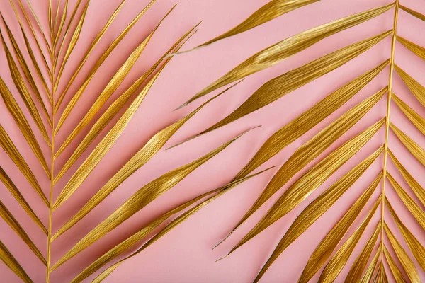 Golden palm leaf, tropical leave texture on pink background. Painted golden leaves of tropical plants. Summer backgroun gold floral background. — Stock Photo, Image